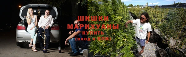 прущие крисы Бугульма