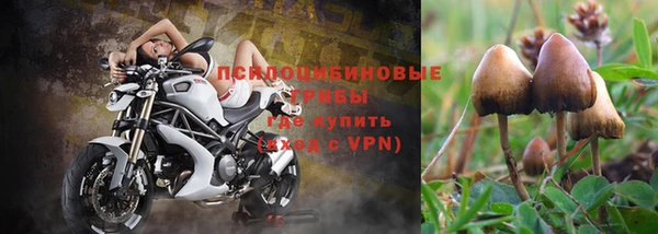 марихуана Бородино