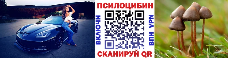 Галлюциногенные грибы MAGIC MUSHROOMS Сургут