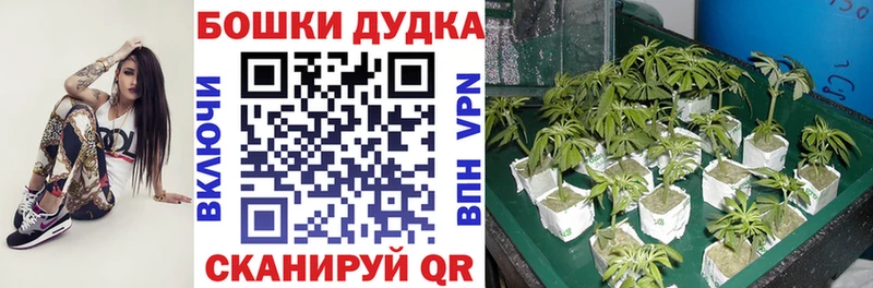 МАРИХУАНА Bruce Banner  где можно купить   Сургут 